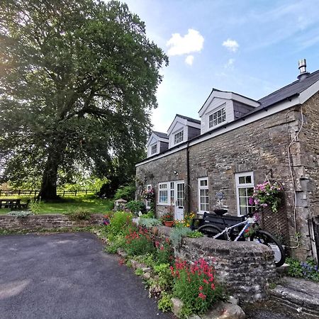 Swansea Valley Holiday Cottages Cilybebyll Εξωτερικό φωτογραφία