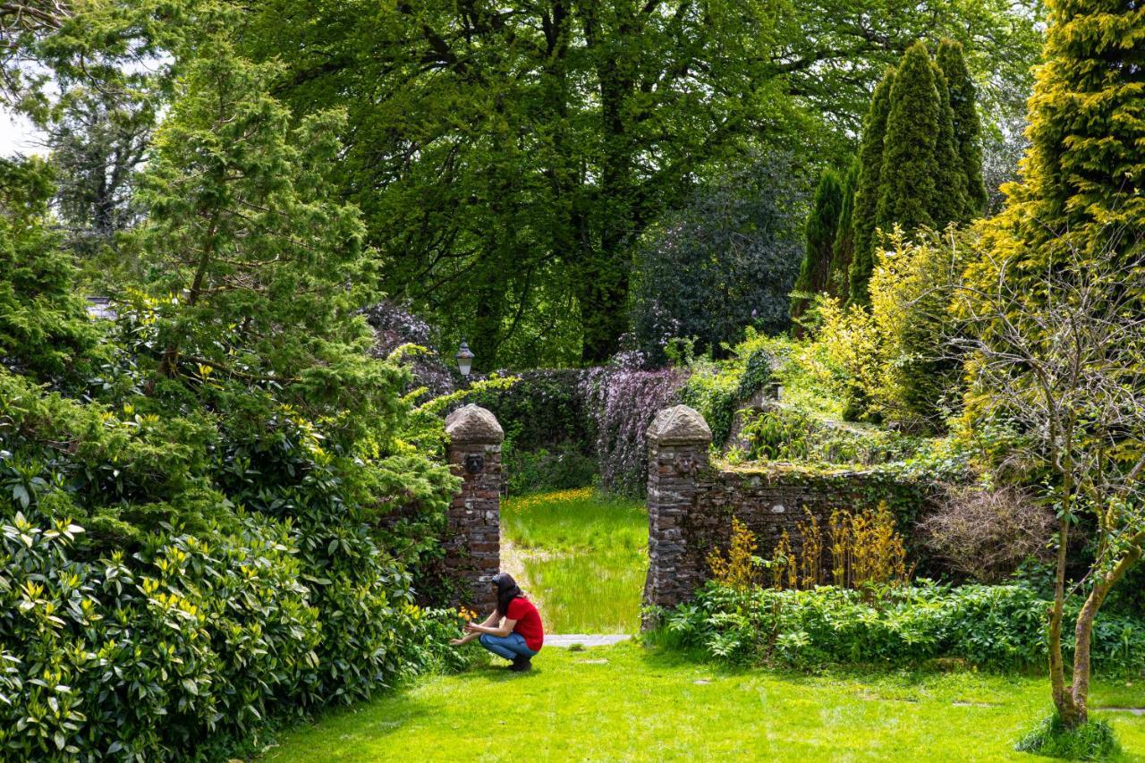 Swansea Valley Holiday Cottages Cilybebyll Εξωτερικό φωτογραφία