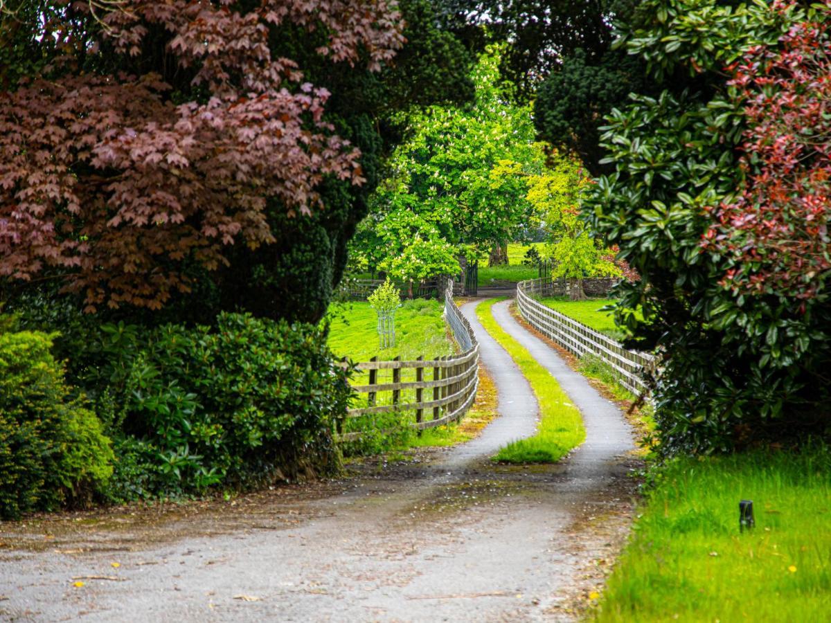 Swansea Valley Holiday Cottages Cilybebyll Εξωτερικό φωτογραφία